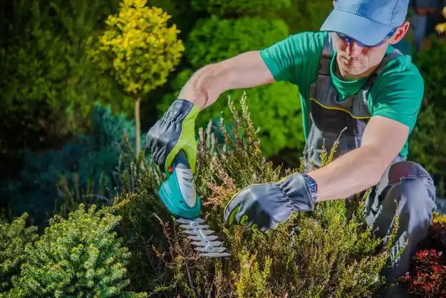 landscaping services Dent